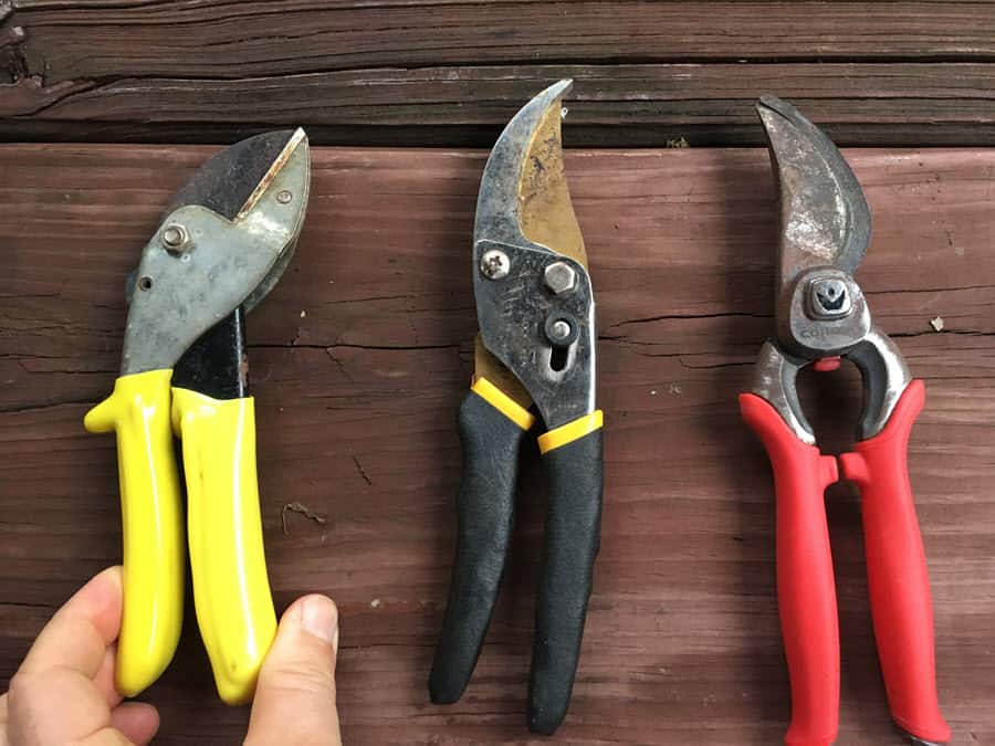 How to select a pruner