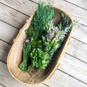 How to Prune Herbs: The Complete Guide